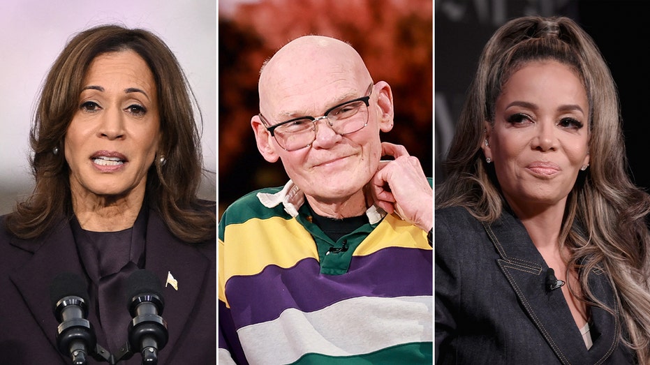 James Carville says Kamala Harris’ failed campaign could be reduced to Sunny Hostin’s question on ‘The View’